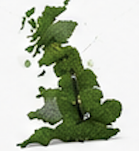 UK policy
