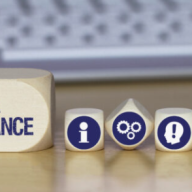 Proportionate online assessment is now a governance issue